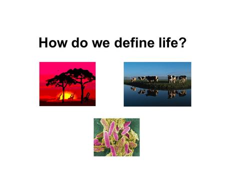 How do we define life?. Properties of Living Things Are organized, and are made of one or more cells (Cellular Organization) Maintain stable internal.