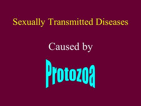 Sexually Transmitted Diseases Caused by. Trichomonas.