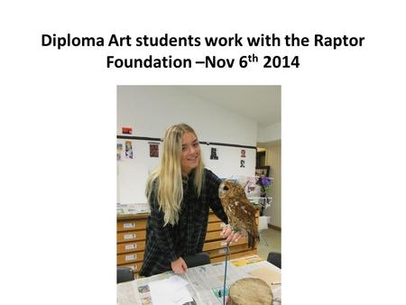 Diploma Art students work with the Raptor Foundation –Nov 6 th 2014.