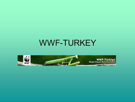 WWF-TURKEY. ABOUT WWF WWF stood for “ World Wildlife Fund”. This organization conserve nature and ecological processes.