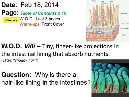 Warm-ups Date: Feb 18, 2014 Page: Table of Contents p 19 W.O.D: Last 3 pages Warm-ups: Front Cover W.O.D. Villi – Tiny, finger-like projections in the.