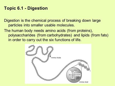 Topic 6.1 - Digestion Digestion is the chemical process of breaking down large particles into smaller usable molecules. The human body needs amino acids.