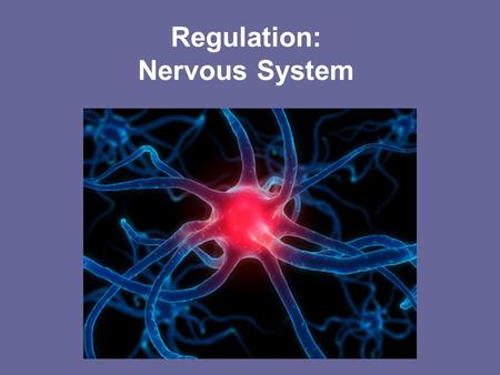 Regulation: Nervous System. A World Without Pain Perry Goldberger, 15, can't distinguish between hot and cold and cannot feel pain Four-year-old Roberto.