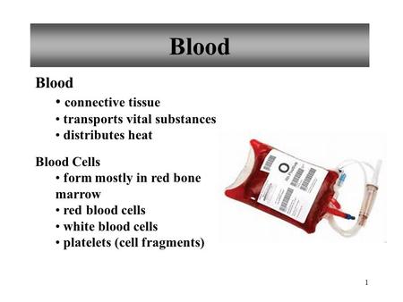 1 Blood connective tissue transports vital substances distributes heat Blood Cells form mostly in red bone marrow red blood cells white blood cells platelets.