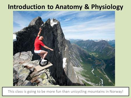 Introduction to Anatomy & Physiology