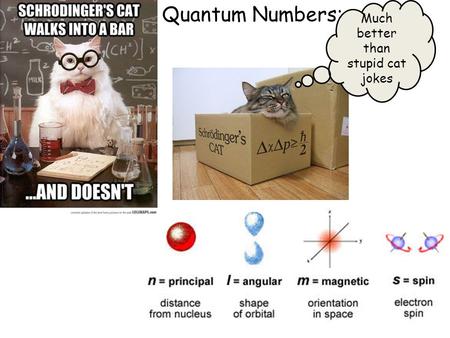 Quantum Numbers: Much better than stupid cat jokes.