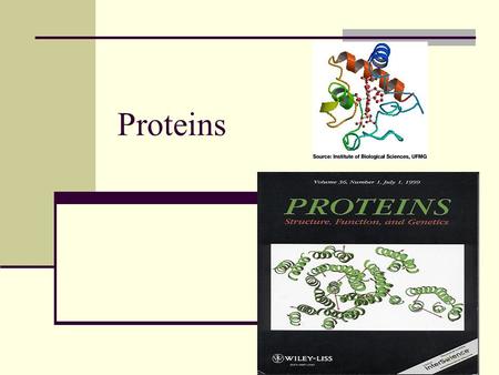 Proteins.