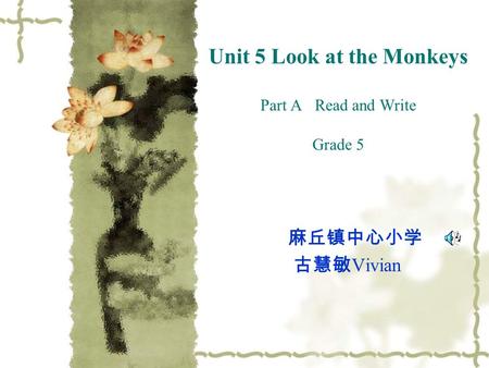 Unit 5 Look at the Monkeys Part A Read and Write Grade 5 麻丘镇中心小学 古慧敏 Vivian.