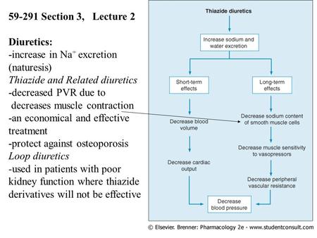 1 59-291 Section 3, Lecture 2 Diuretics: -increase in Na + excretion (naturesis) Thiazide and Related diuretics -decreased PVR due to decreases muscle.