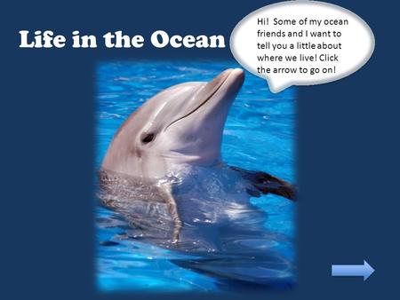 Life in the Ocean Hi! Some of my ocean friends and I want to tell you a little about where we live! Click the arrow to go on!