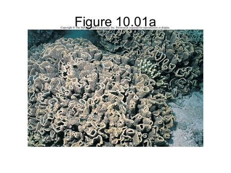 Figure 10.01a. Chapter 9 ppt notes Figure 10.01b.