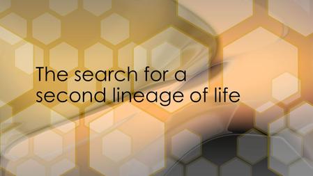 The search for a second lineage of life. “Two possibilities exist: either we are alone in the Universe or we are not. Both are equally terrifying.” –