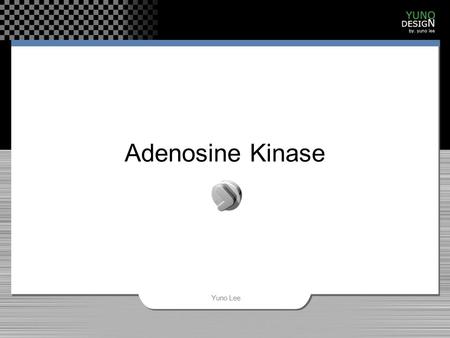 Adenosine Kinase Yuno Lee.