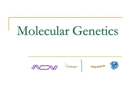 Molecular Genetics DNA STRUCTURE I) DNA Structure DNA Structure according to the model proposed by Watson and Crick  DNA consist of two strands of.