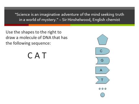 Use the shapes to the right to draw a molecule of DNA that has the following sequence: C A T “Science is an imaginative adventure of the mind seeking truth.