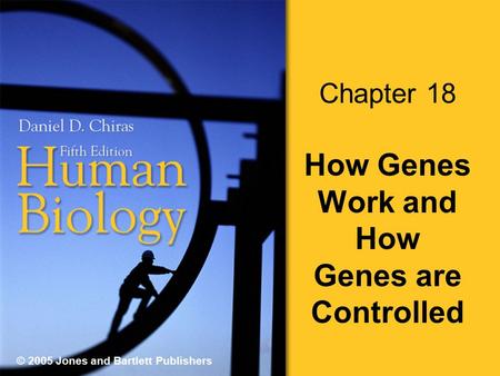 © 2005 Jones and Bartlett Publishers Chapter 18 How Genes Work and How Genes are Controlled.