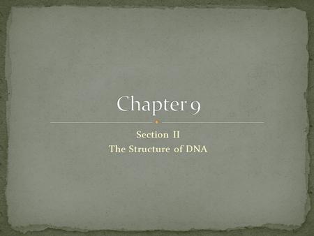 Section II The Structure of DNA. How can a DNA molecule be compared to a ladder used in everyday life? Similarities? Differences? vs Figure 4, pg. 194.