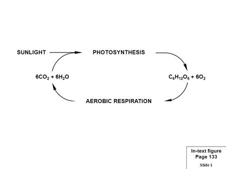 Slide 1 PHOTOSYNTHESIS AEROBIC RESPIRATION C 6 H 12 O 6 + 6O 2 6CO 2 + 6H 2 O SUNLIGHT In-text figure Page 133.