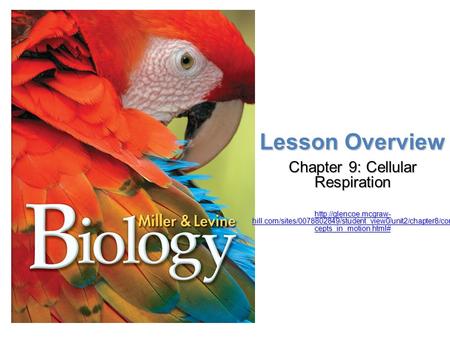 Chapter 9: Cellular Respiration