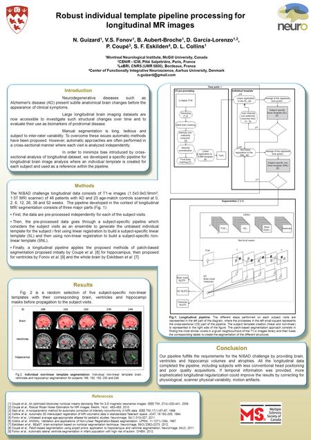 References [1] Coupé et al., An optimized blockwise nonlocal means denoising filter for 3-D magnetic resonance images. IEEE TMI, 27(4):425–441, 2008.