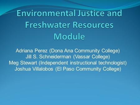 Adriana Perez (Dona Ana Community College) Jill S. Schneiderman (Vassar College) Meg Stewart (Independent instructional technologist) Joshua Villalobos.