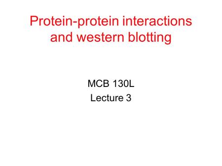 Protein-protein interactions and western blotting MCB 130L Lecture 3.