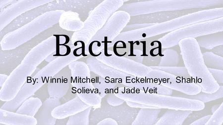 Bacteria By: Winnie Mitchell, Sara Eckelmeyer, Shahlo Solieva, and Jade Veit.