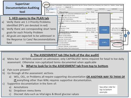 1 2 SuperUser Documentation Auditing tool 1. HED opens to the PLAN tab a)Verify there are 1-3 Priority Problems identified (PP’s are denoted in red) b)Verify.