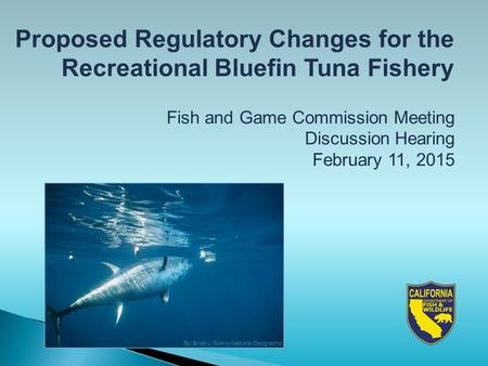 Proposed Regulatory Changes for the Recreational Bluefin Tuna Fishery Fish and Game Commission Meeting Discussion Hearing February 11, 2015 By: Brian J.