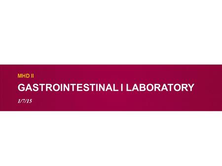 GASTROINTESTINAL I LABORATORY MHD II 1/7/15. Case 1 Identify and describe the gross findings of the following anatomic regions:  Esophagus  Gastroesphageal.