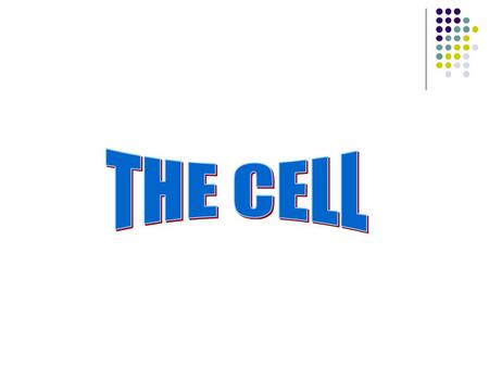 I. Why Study Cells? A. Body is made up of cells: 1. RBC 2. Nerve Cells 3. Skin Cells 4. Muscle Cells.