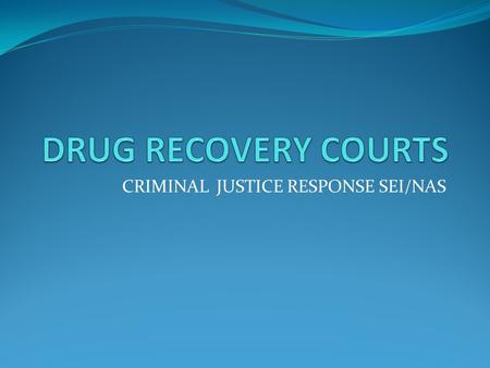 CRIMINAL JUSTICE RESPONSE SEI/NAS. MULTIDISCIPLINARY NON- ADVERSARIAL APPROACH FOR NON-VIOLENT OFFENDERS.