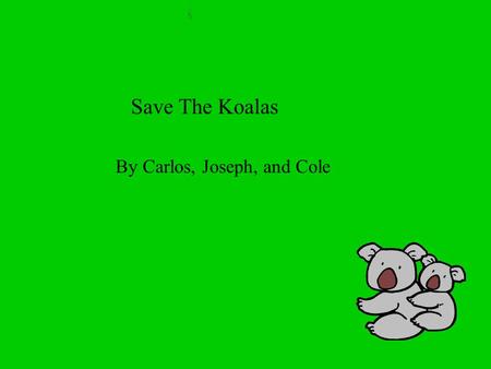 Save The Koalas By Carlos, Joseph, and Cole. Homes Koalas live in Australia. They do not have homes like people. They live in eucalyptus trees.