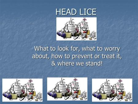 HEAD LICE What to look for, what to worry about, how to prevent or treat it, & where we stand!