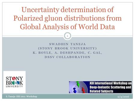 SWADHIN TANEJA (STONY BROOK UNIVERSITY) K. BOYLE, A. DESHPANDE, C. GAL, DSSV COLLABORATION 2/4/2016 S. Taneja- DIS 2011 Workshop 1 Uncertainty determination.