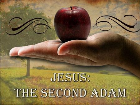 Jesus: The Second Adam.