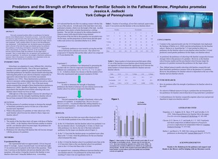 Predators and the Strength of Preferences for Familiar Schools in the Fathead Minnow, Pimphales promelas Jessica A. Jadlocki York College of Pennsylvania.