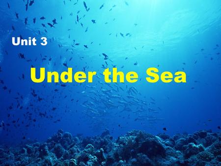 Under the Sea Unit 3. Today, we’re going to take a look at the world under the sea. So, are you ready?