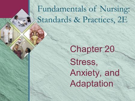 Chapter 20 Stress, Anxiety, and Adaptation Fundamentals of Nursing: Standards & Practices, 2E.