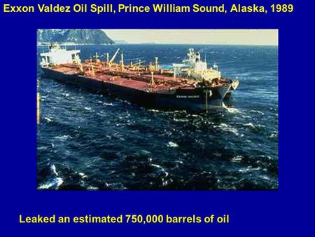 Exxon Valdez Oil Spill, Prince William Sound, Alaska, 1989 Leaked an estimated 750,000 barrels of oil.