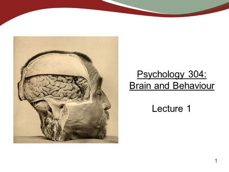 1 Psychology 304: Brain and Behaviour Lecture 1. 2 Introduction and History 1.What is biological psychology? 2.What is the relation between biological.