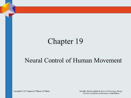 Copyright © 2007 Lippincott Williams & Wilkins.McArdle, Katch, and Katch: Exercise Physiology: Energy, Nutrition, and Human Performance, Sixth Edition.