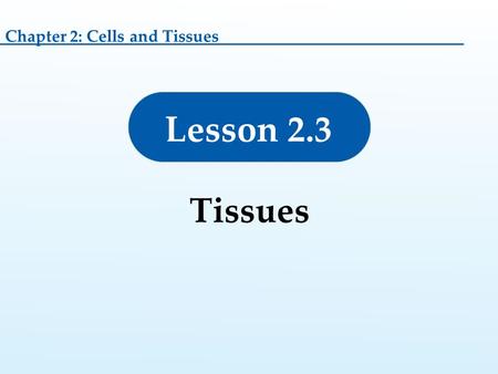 Lesson 2.3 Tissues Chapter 2: Cells and Tissues. Permission granted to reproduce for educational use only.© Goodheart-Willcox Co., Inc. Tissues are groups.