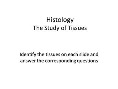 Histology The Study of Tissues Identify the tissues on each slide and answer the corresponding questions.