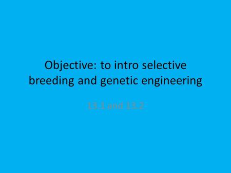 Objective: to intro selective breeding and genetic engineering 13.1 and 13.2.