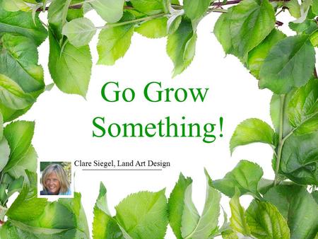 Go Grow Something! Clare Siegel, Land Art Design.