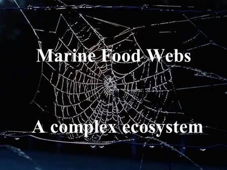 Marine Food Webs A complex ecosystem.