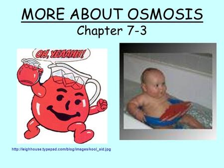 MORE ABOUT OSMOSIS Chapter 7-3