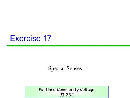 Exercise 17 Special Senses Portland Community College BI 232.