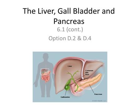 The Liver, Gall Bladder and Pancreas 6.1 (cont.) Option D.2 & D.4.